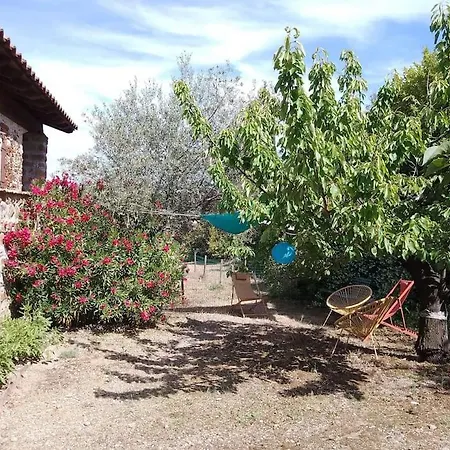 Le Gite Aux Oliviers בית נופש